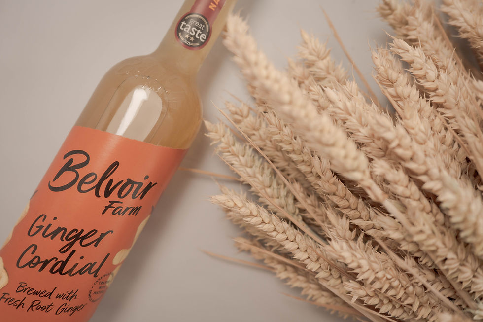 Belvoir farm ginger cordial bottle 