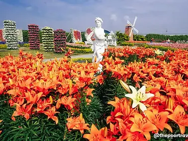 chungshe flwer grden.webp