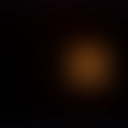 THE LIGHT OF THE WORLD