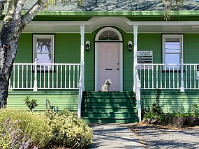 Vintage green house with pink door.