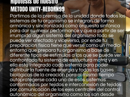 BASES METODOLOGICAS DEL SISTEMA DE ENTRENAMIENTO UNITY-REBORON99 BY THE ALKY-META