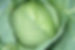 13937903_183631868722760_730965737953070