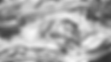 The-Morrison-Patterns-and-Textures-ONLY5_v2.png