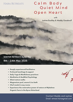 2025 winter retreat poster.png