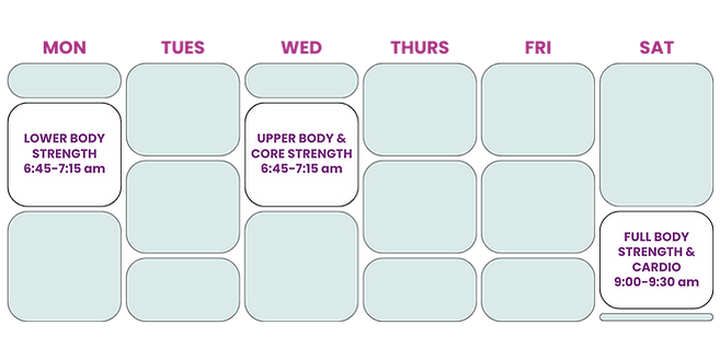 diligent_fitness_online_class_schedule_ONLINE_FITNESS_WORKOUTS_DETROIT.png