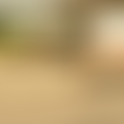 O Agente Secreto: a primeira cena