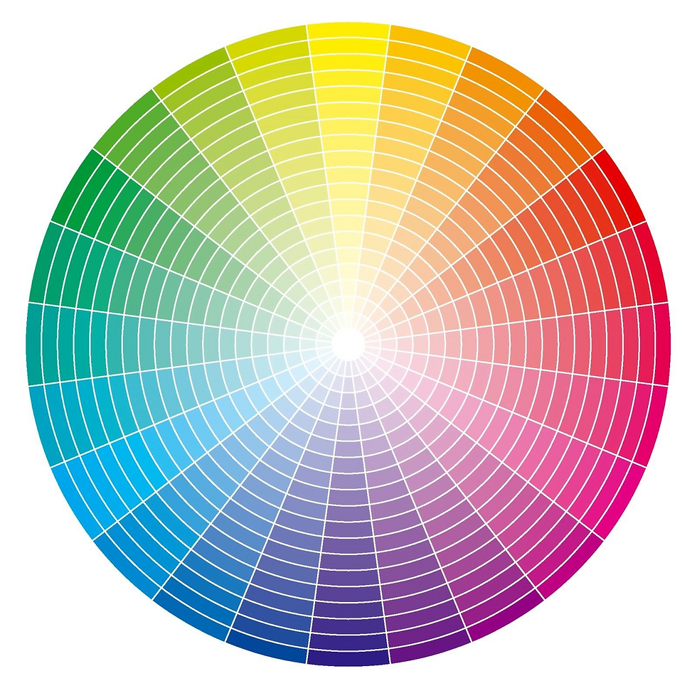 O Círculo Cromático, uma representação visual das cores percebidas pelo olho humano – Nosso Cabide/Repdoução