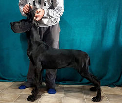 FB_IMG_1724935430418