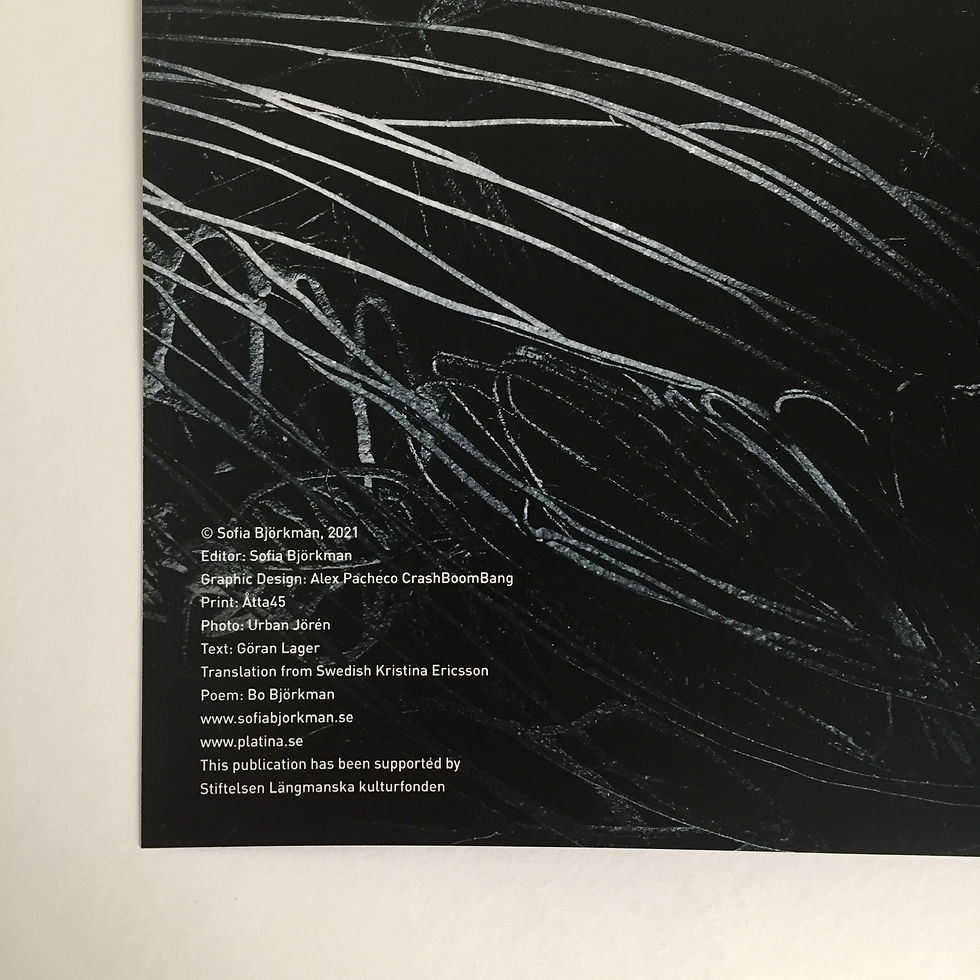 Thumbnail: Catalogue Landscapes Sofia Björkman