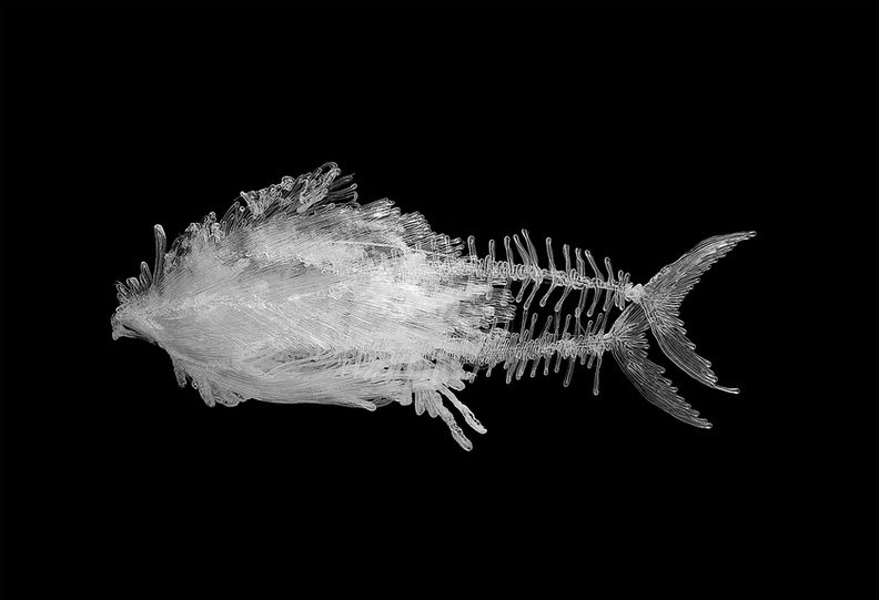 Sofia Fish artobject brooch