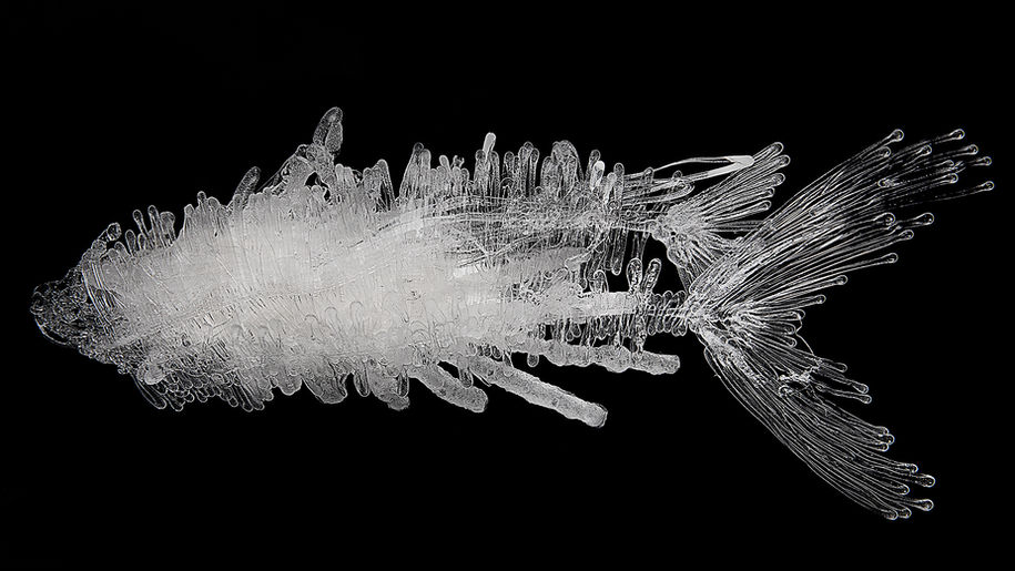 Sofia Björkman Fish brooch object