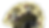 20250813-Flex Ticket Fan.png