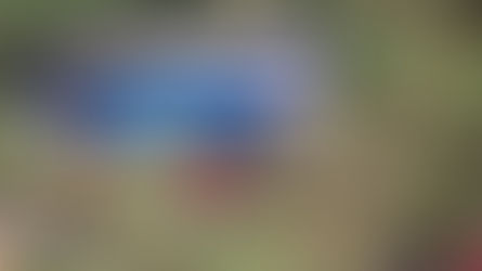 Otro grave accidente de Bus: Cayó por un abismo en la vía entre Norte de Santander y Arauca