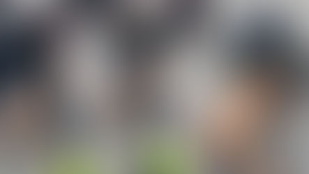 Caso del pitbull que murió tras disparo de un patrullero: Policía se pronunció al respecto