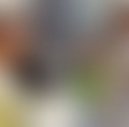 Lo que se sabe de la salud de Miss Jamaica: Enfrenta hemorragia intracraneal y será repatriada