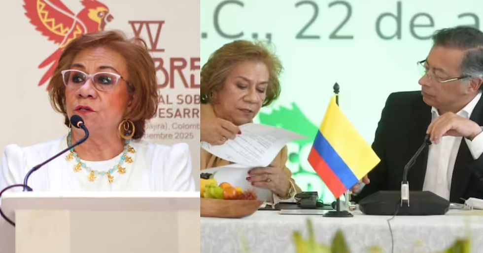 Canciller habló de la tensión entre Estados Unidos y Venezuela: “Presencia desproporcionada…”