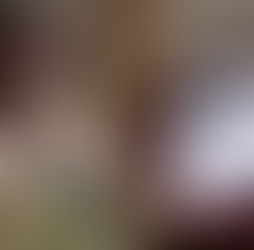 Amor digital en Japón: Mujer se casó con su “novio”, creado con IA, en inusual ceremonia