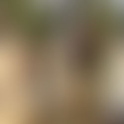 Viral: Silvia Corzo se casó con ella misma en una peculiar boda