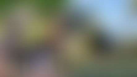 ¿Conoce a los “Therians”?, la tribu juvenil en medio del debate en redes