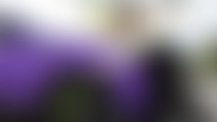 Este es el lujoso Lamborghini que regalará Shakira: Aquí los pasos para participar en el concurso