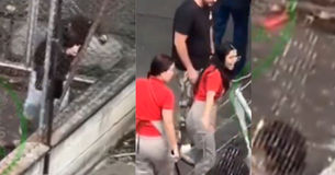 Video de fuerte golpiza a un habitante de calle en Medellín: Empleados de una panadería protagonizaron indignante escena