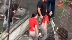 Video de fuerte golpiza a un habitante de calle en Medellín: Empleados de una panadería protagonizaron indignante escena