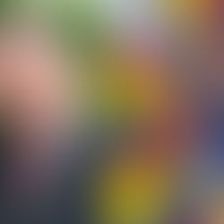 Hombre presumió su admiración a Petro con pintoresco cumpleaños