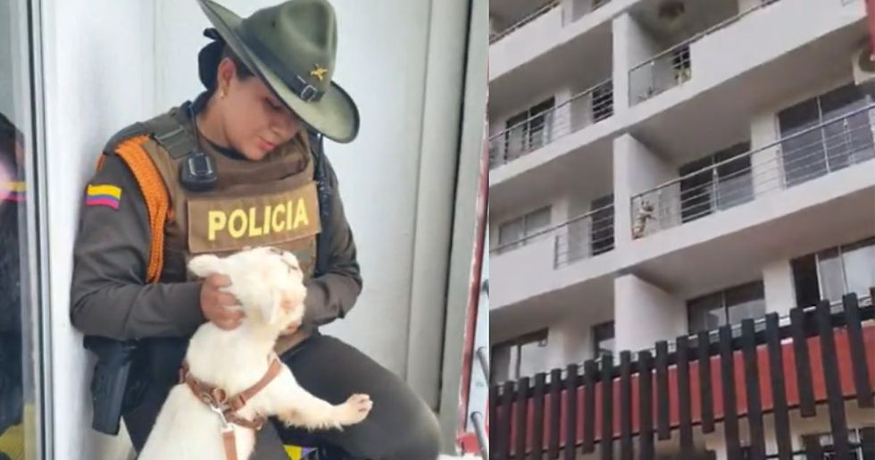 Tras denuncia en redes, perrito fue rescatado en Yopal, Casanare: Lo tenían amarrado en un balcón