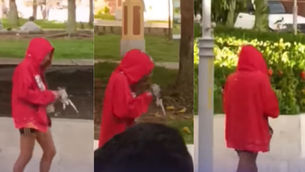 La aterradora actitud de una mujer: Le arrancó la cabeza a una paloma viva