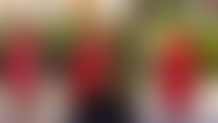 La aterradora actitud de una mujer: Le arrancó la cabeza a una paloma viva