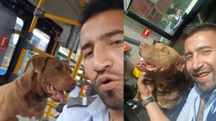 El gran gesto del conductor de SITP: Ayudó a perrito perdido