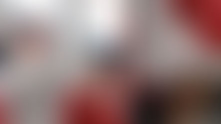 Polémica por una mujer que se defendió por viajar con su mascota en un bus de transporte público