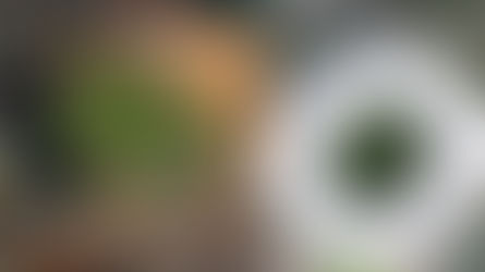 Con este proyecto, Medellín anunció un nuevo Atanasio Girardot: Moderno y amplio