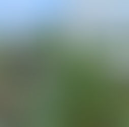 Avioneta sufrió accidente cerca de aeropuerto de Cali: Pese a la emergencia, los ocupantes resultaron ilesos