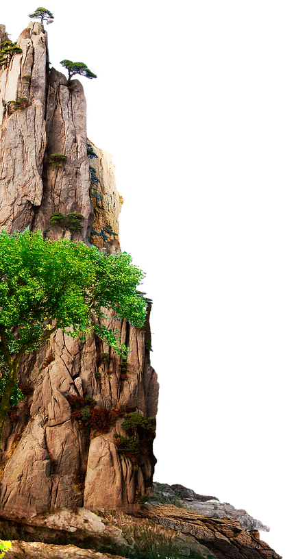 pngwing.com (21).png