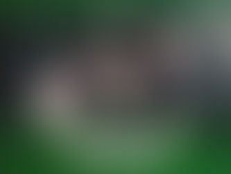 A Aʀмᴀᴅιʟнᴀ ᴅo Fᴀʟso Mᴇɴтoʀ 🤨