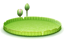 FOLHAS6.png