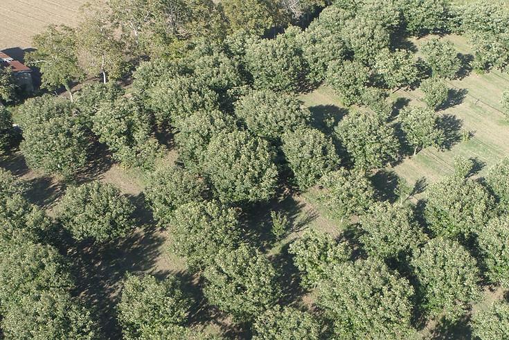 DJI_0020.JPG