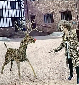 Reindeer _edited.jpg