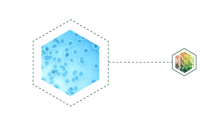 blue hexigon bullet point smaller-01.png