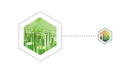 green hexigon bullet point smailler-01.p