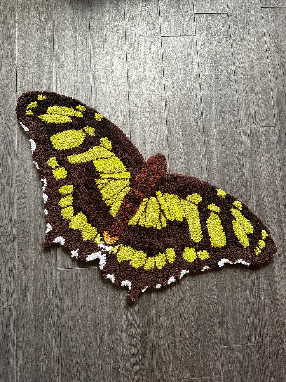 Thumbnail: Malachite Butterfly