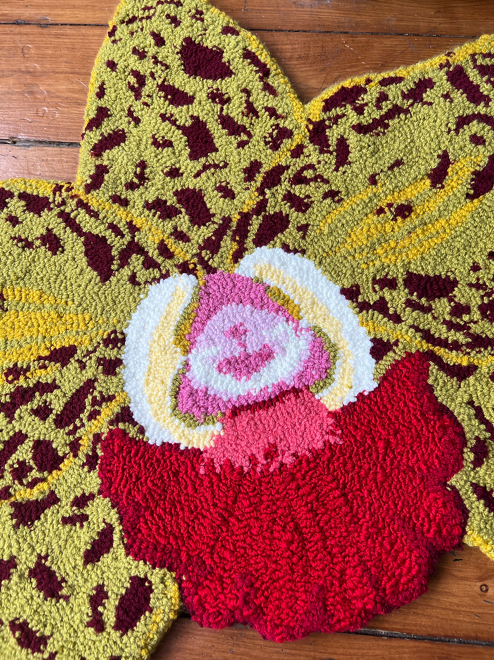 Miniatura: Spotted Olive Green Cattleya Orchid