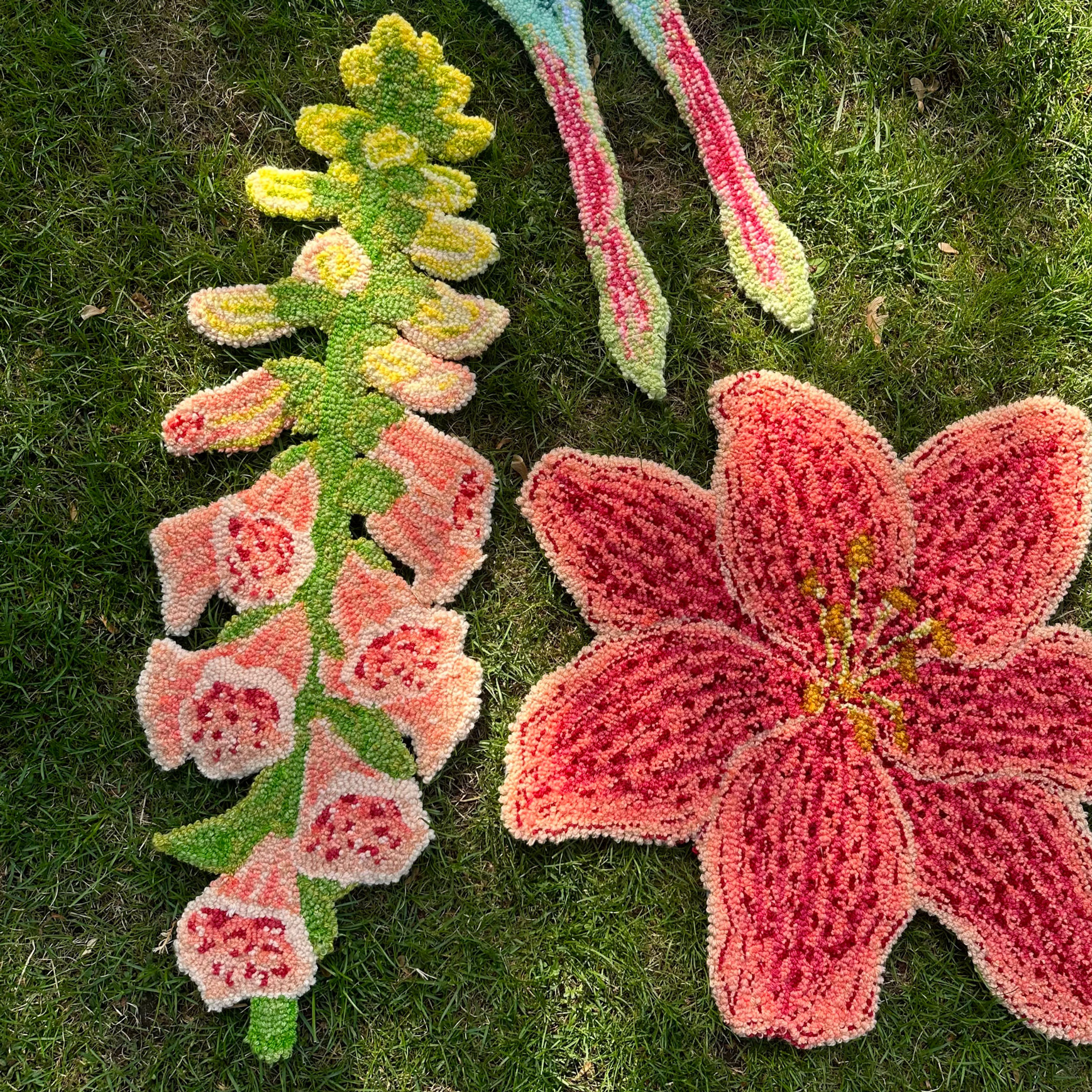 Dalmatian Peach Foxglove