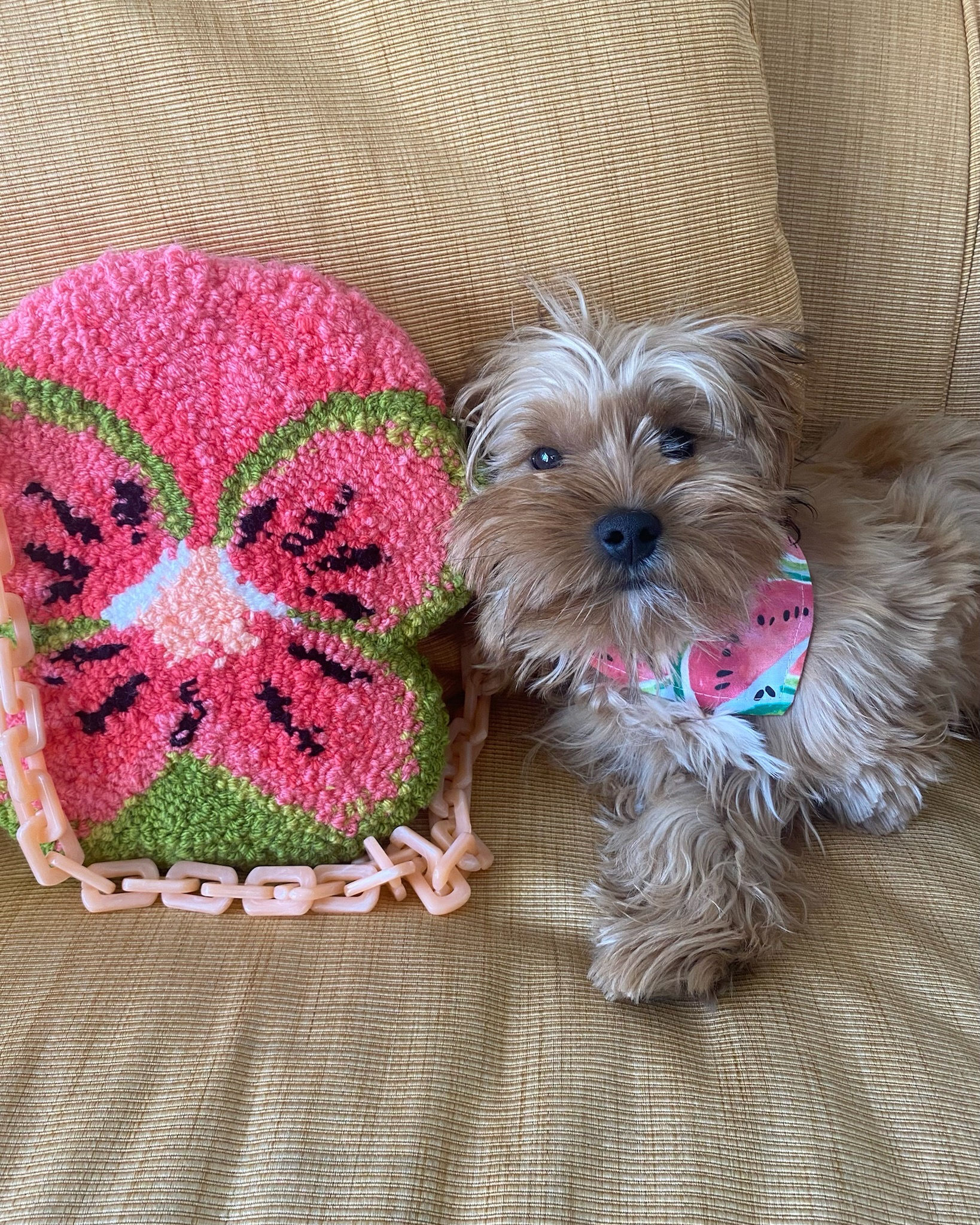 the watermelon pansy bag