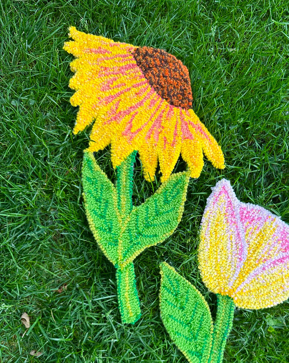 Miniatura: SAMPLE Coneflower