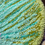Thumbnail: Mint Boat Orchid