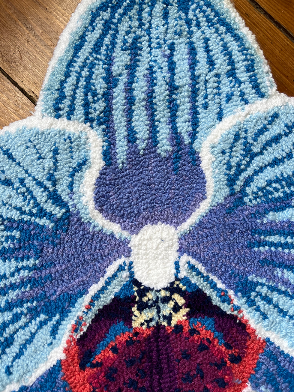 Thumbnail: Blue Phal Orchid