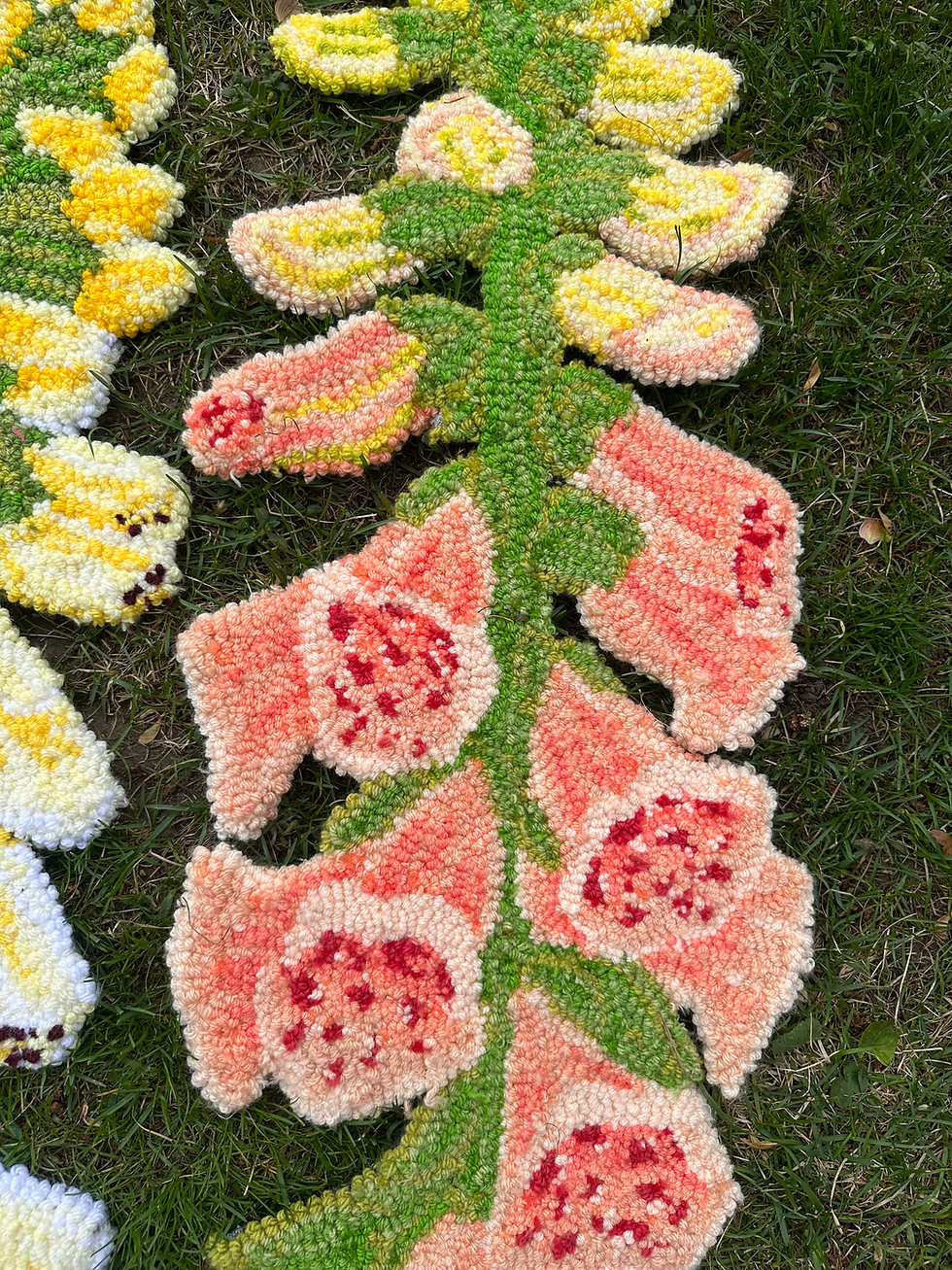 Thumbnail: Dalmatian Peach Foxglove