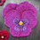 Miniatura: Pansy 8